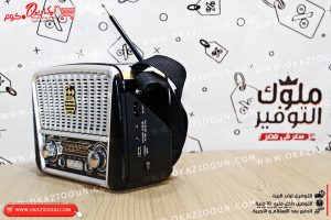 راديو كهرباء Golon RX - 438 - Image 10